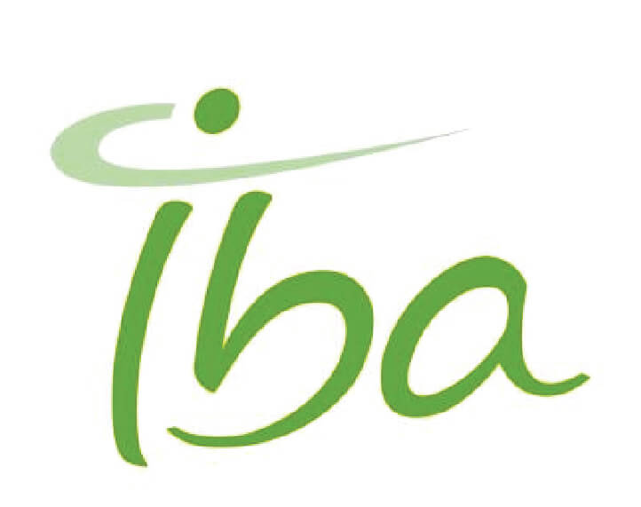 IBA-Dosimetry