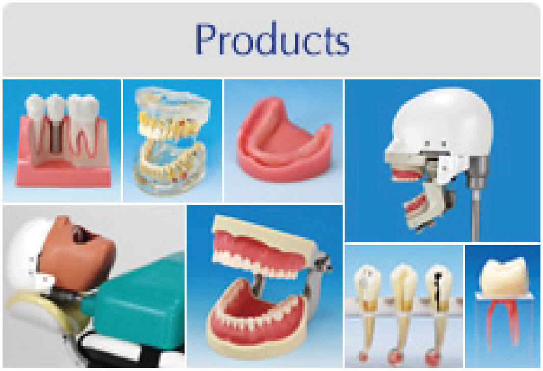 Dental Training Products