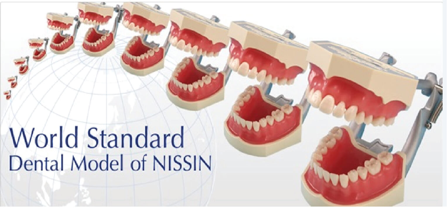 Patient Education Models