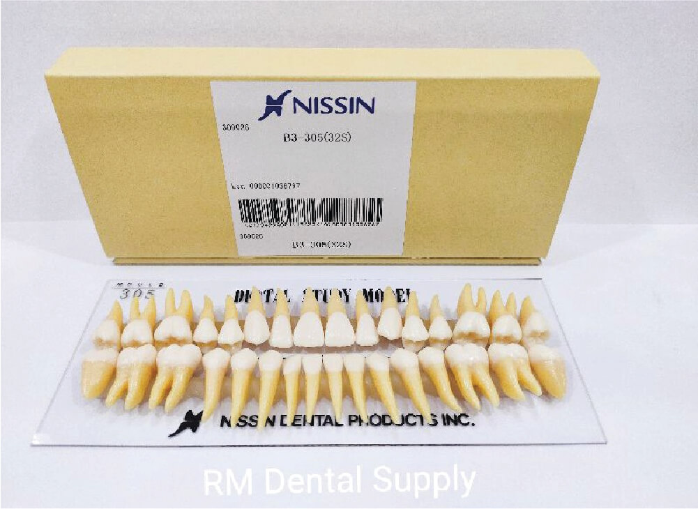 Patient Education Models