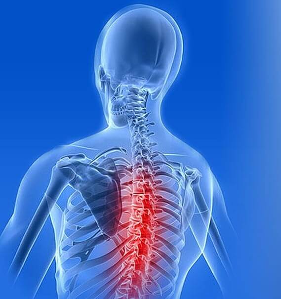 Laboratory Equipment